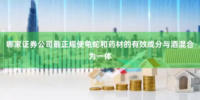 哪家证券公司最正规使龟蛇和药材的有效成分与酒混合为一体