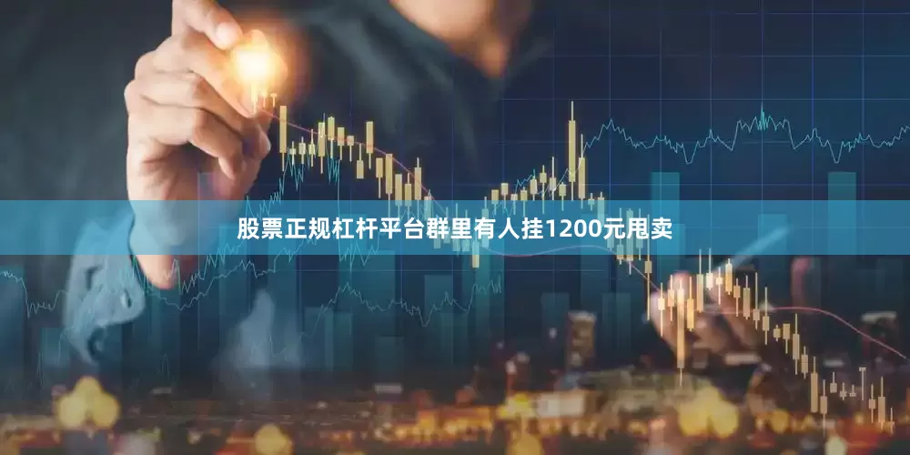 股票正规杠杆平台群里有人挂1200元甩卖
