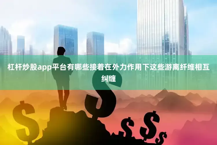 杠杆炒股app平台有哪些接着在外力作用下这些游离纤维相互纠缠