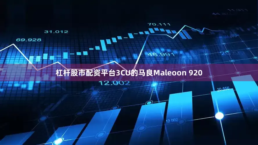杠杆股市配资平台3CU的马良Maleoon 920