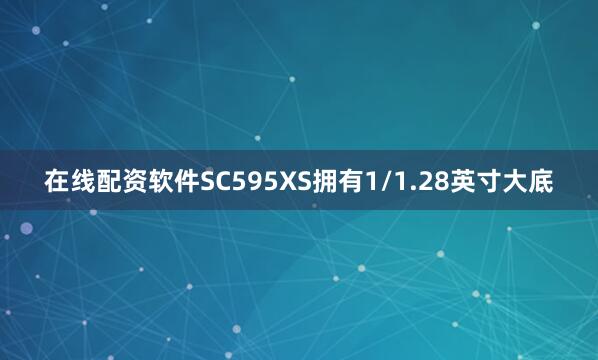在线配资软件SC595XS拥有1/1.28英寸大底